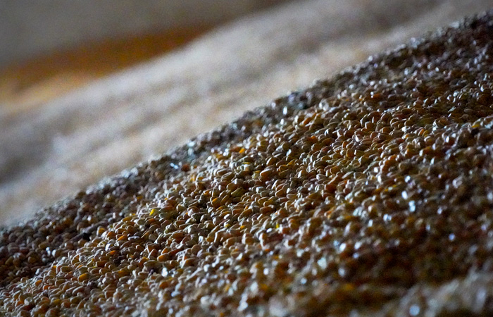 Путин сообщил об отправке в Африку первых судов с бесплатным российским зерном