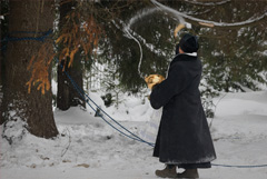 Главная новогодняя елка страны отправилась из Подмосковья в Кремль