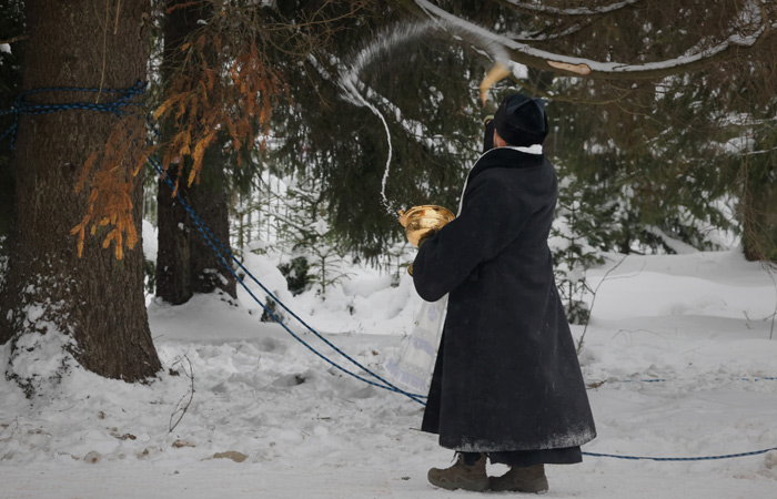Главная новогодняя елка страны отправилась из Подмосковья в Кремль
