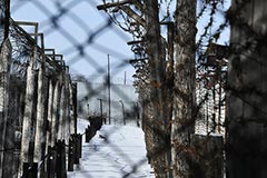 Законопроект об освобождении тяжелобольных осужденных внесен в Госдуму