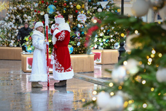 Синоптики ожидают, что оттепель в Москве сохранится до конца недели