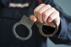 Обвиняемую в крупном хищении россиянку депортировали из ОАЭ на родину