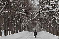 Москвичам пообещали на следующей неделе "мягкую зиму"