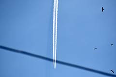 МВД РФ предупредило об участившихся случаях мошенничества с горящими турами