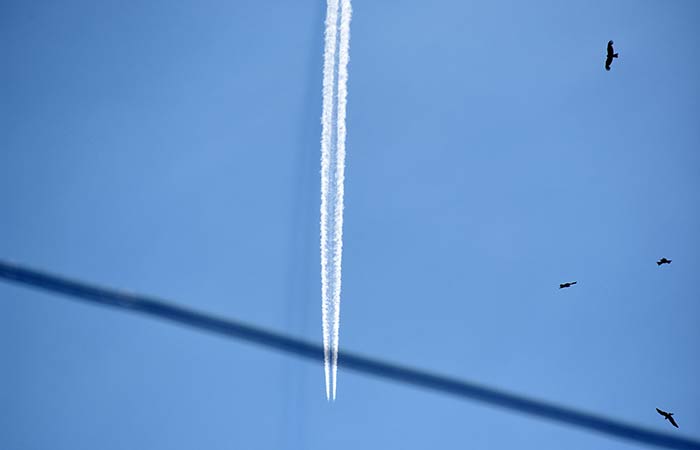 МВД РФ предупредило об участившихся случаях мошенничества с горящими турами