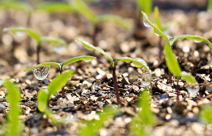 Число производителей органической продукции в российском АПК выросло на 18%