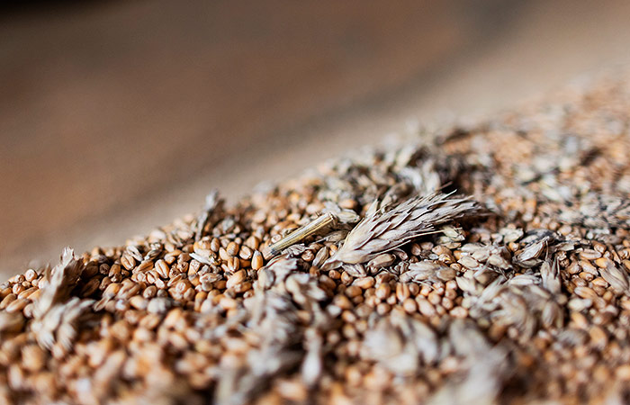 Минсельхоз в 2024 г. не будет применять понижающий коэффициент в зерновой квоте