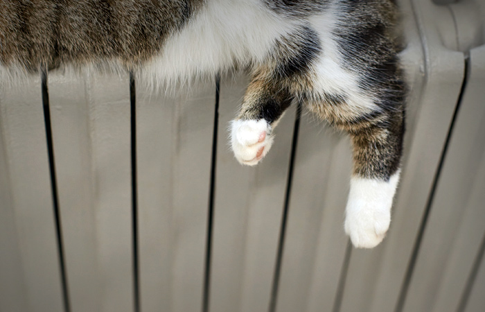 Температуру в батареях московских домов увеличили под очередное похолодание