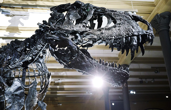 Что произошло в мире науки. Вечерний дайджест