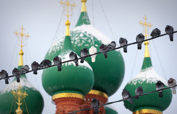 Снегопад в Москве продлится до вечера понедельника