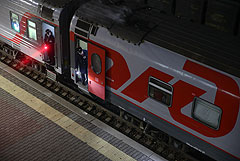 Проводникам запретят высаживать животных из поезда после гибели кота