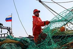 Китай разрешил еще 29 российским компаниям поставки рыбопродукции