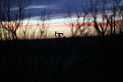 Цены на нефть в четверг держатся у максимумов за 8 недель