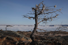 В сейсмоактивной зоне у Байкала захотели сократить сеть сейсмостанций