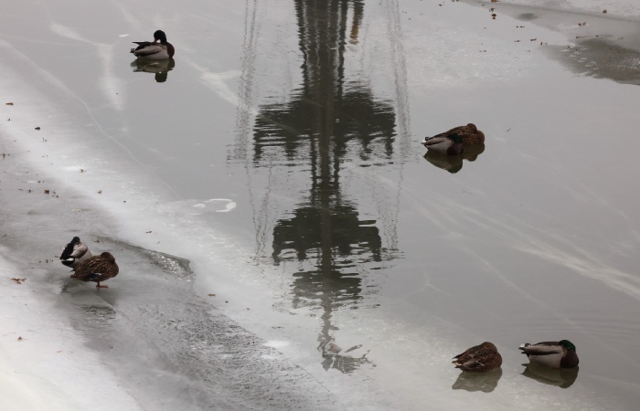 Гидрометцентр прогнозирует оттепель в Москве в первые дни февраля
