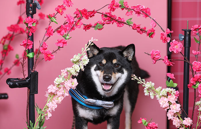 Что произошло в мире науки. Вечерний дайджест