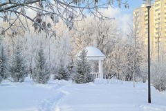 Двадцатиградусные морозы вернутся в Москву в четверг