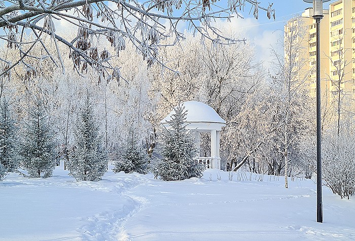 Двадцатиградусные морозы вернутся в Москву в четверг