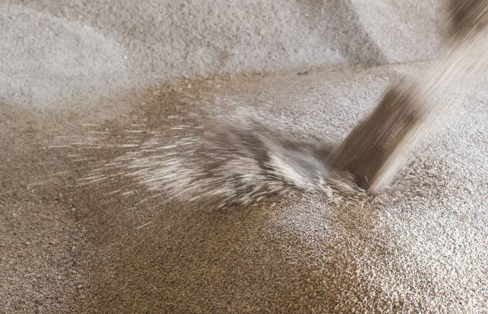 РФ завершила поставку 200 тыс. тонн пшеницы в шесть стран Африки