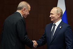 Встреча Путина и Эрдогана не состоится до президентских выборов в РФ