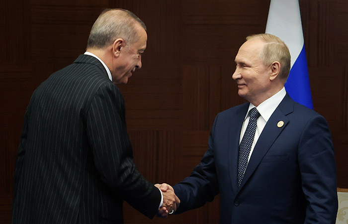 Встреча Путина и Эрдогана не состоится до президентских выборов в РФ