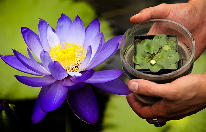 Что произошло в мире науки. Вечерний дайджест