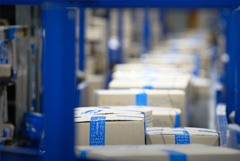 Мишустина попросили не снижать порог беспошлинного ввоза товаров с 1000 до 200 евро