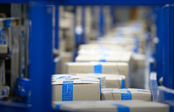 Мишустина попросили не снижать порог беспошлинного ввоза товаров с 1000 до 200 евро