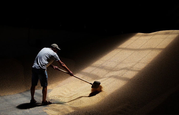 Кабмин дополнительно выделит 7 млрд руб. на увеличение запасов зерна в госфонде