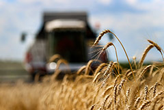 FT сообщила о планах ЕС ввести пошлину на импорт зерна из России