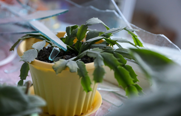 Около 9 тысяч детей вывезут из Белгородской области из-за обстрелов