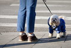 Устойчивая весенняя погода придет в Москву в субботу