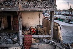 В ООН сообщили о разрушении и повреждении до 35% построек в секторе Газа