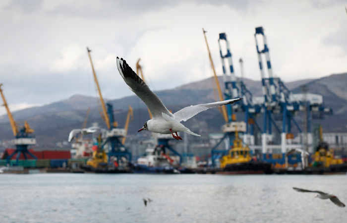 ФАС возбудила антимонопольное дело против НМТП из-за роста тарифов