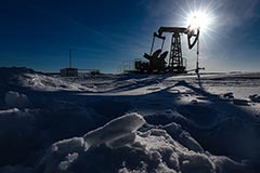 Цены на нефть снижаются на данных о запасах в США