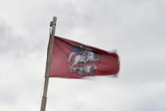 Два человека погибли и 15 пострадали из-за непогоды в Москве