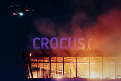      ,     Crocus