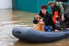 Жителей еще одного поселка в Орске срочно эвакуируют из-за нового прорыва дамбы