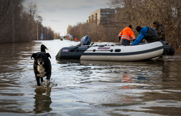 В ближайшие сутки в Оренбуржье может подтопить около 2 тыс. жилых домов