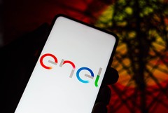 Доля в "Русэнергосбыте", идентичная пакету Enel, перешла на баланс самой компании