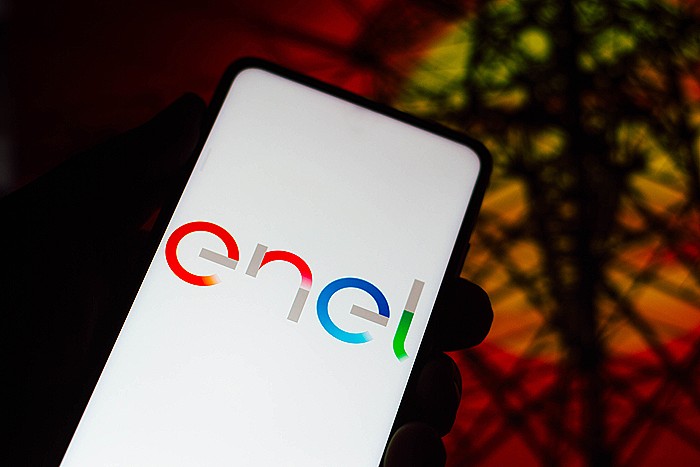 Доля в "Русэнергосбыте", идентичная пакету Enel, перешла на баланс самой компании