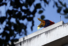 Венесуэла отзывает всех своих дипломатов из Эквадора