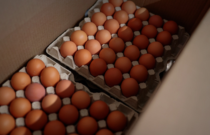 ФАС предупредила о недопустимости необоснованного роста цен на яйца
