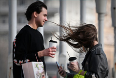 Сильный ветер привел к падению деревьев в Москве