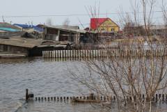 Уровень воды в реке Ишим поднялся за сутки более чем на два метра
