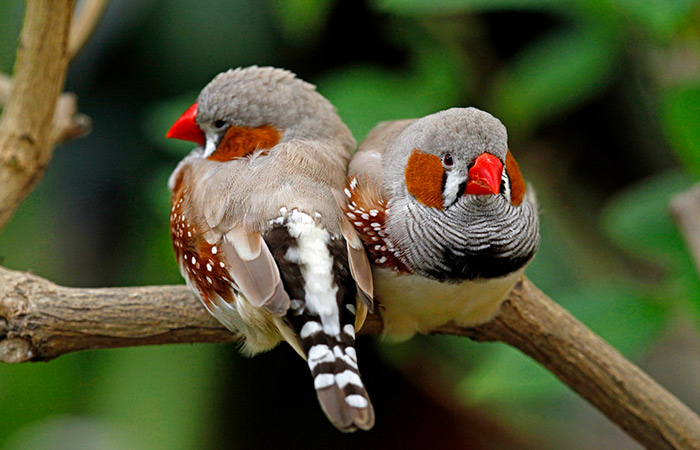 Что произошло в мире науки. Вечерний дайджест