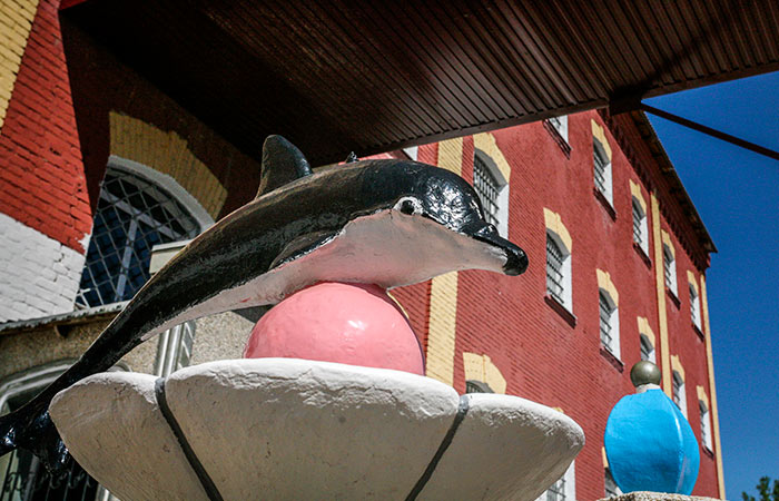 Москалькова просит прокуроров проверить действия сотрудников колонии "Черный дельфин"