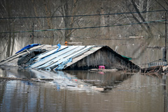 В Оренбургской области остаются подтопленными 12 302 дома
