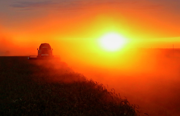 РФ в апреле может экспортировать рекордные 4,6 млн т пшеницы