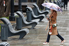 Свыше 70% месячной нормы осадков выпало в ряде районов Москвы менее чем за час